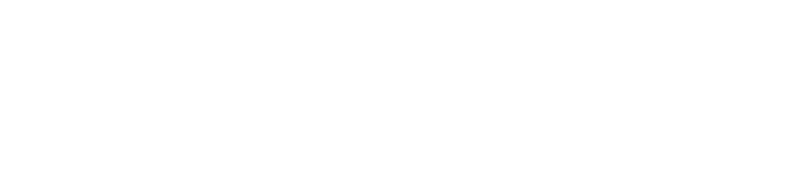 Bardagi